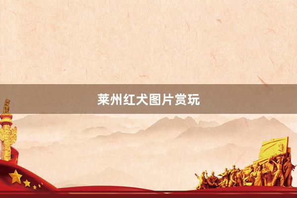 莱州红犬图片赏玩