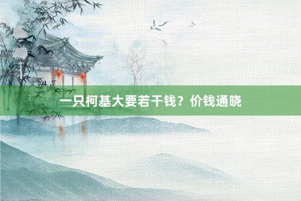 一只柯基大要若干钱？价钱通晓